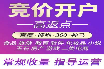 案例分析：百度竞价托管助力行业龙头